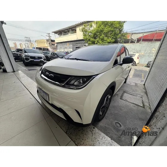 Byd Dolphin 44,9 Kw Elétrico
