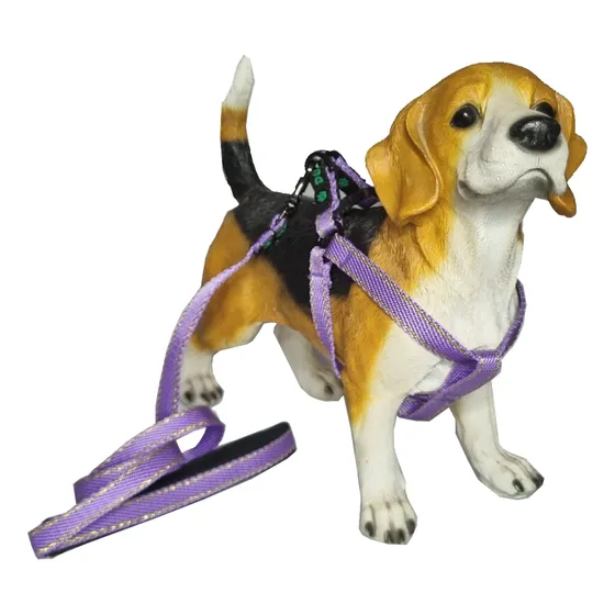 Conjunto Peitoral Linha Gold Para Cachorro Médio Porte