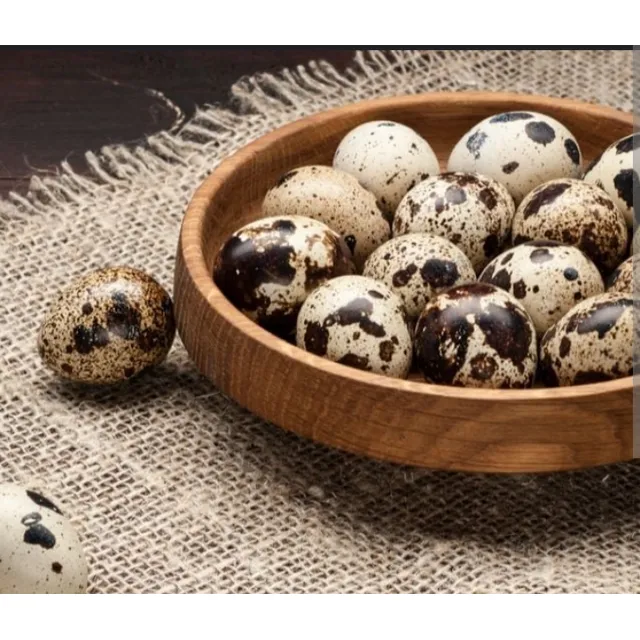 Huevos De Codornices