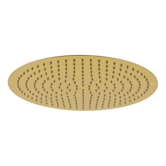 Ducha Regadera Quality Metal Dorada 40 Cm Qm+ 10 Años Gtia