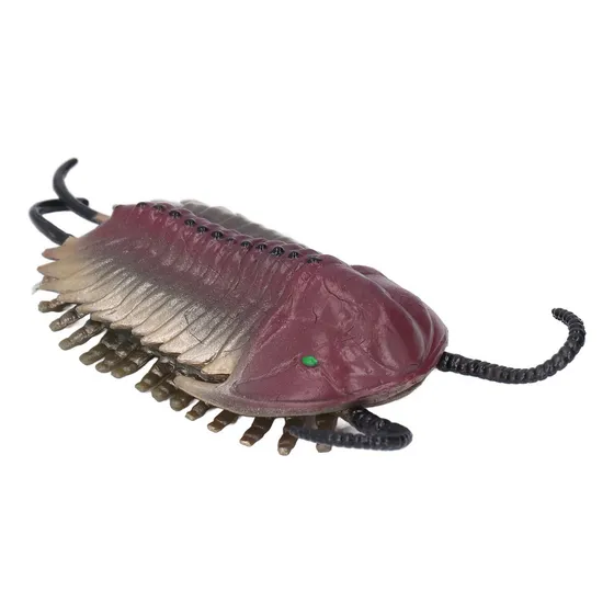 Figura De Animal Antiguo Modelo Trilobite Simulado