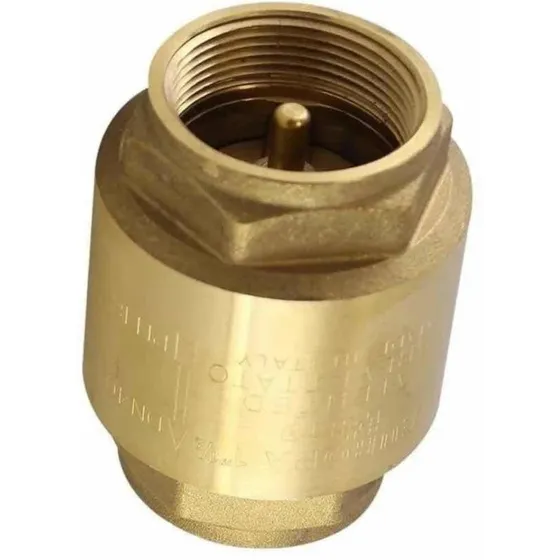 Valvula Check 1 Pulgadas Marca Europa Hecha En Bronce Italy