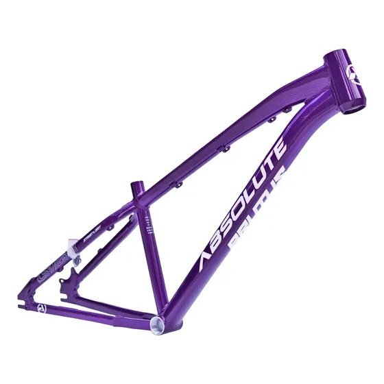 Quadro Absolute Brutus Pro  26 Freeride Downhill Grau Roxo
