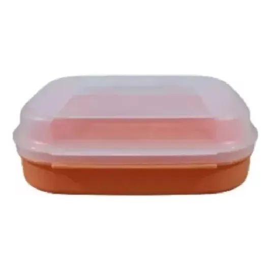 Tupperware Caixa Visual Box 550ml Multiuso