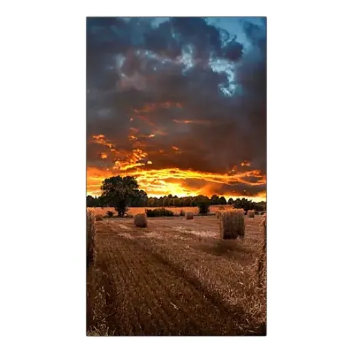 Pantalla Samsung 46in Vmb-u Bisel Estrecho 