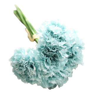 Ramo De Claveles Con Flores Simulado Para El Día De La Madre Ramo De Claveles Con Flores Simulado Para El Día De La Madre