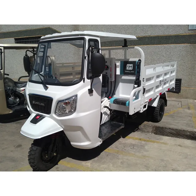 Carguero Trimoto Motos Para Carga 300cc