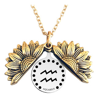 Collar Con Medallón De 12 Constelaciones Con Forma De Giraso Collar Con Medallón De 12 Constelaciones Con Forma De Giraso