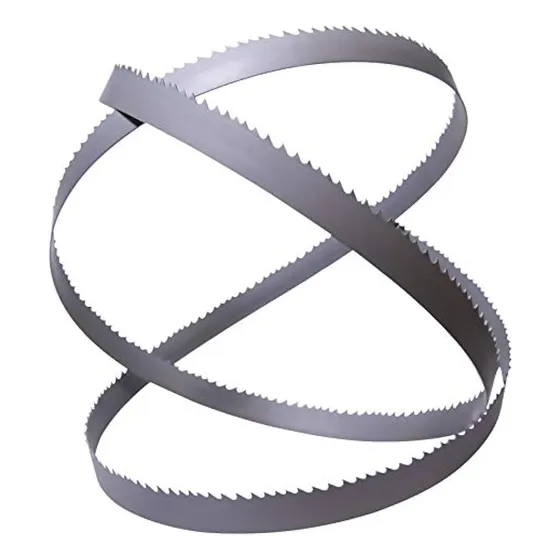 Hoja De Sierra Sin Fin Cinta 1,51m X 6,35mm P/ Madera Carne