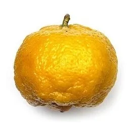 Arbol De Mandarina Bergamota Injertado Envíos A Todo El País