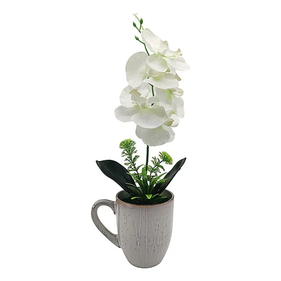 Planta Orquidea Grande En Maceta 