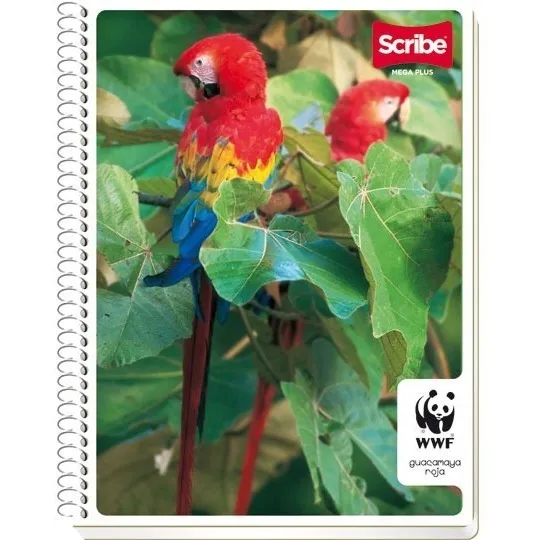 Cuaderno Profesional Blanco Scribe 100 Hojas Espiral 36pzs