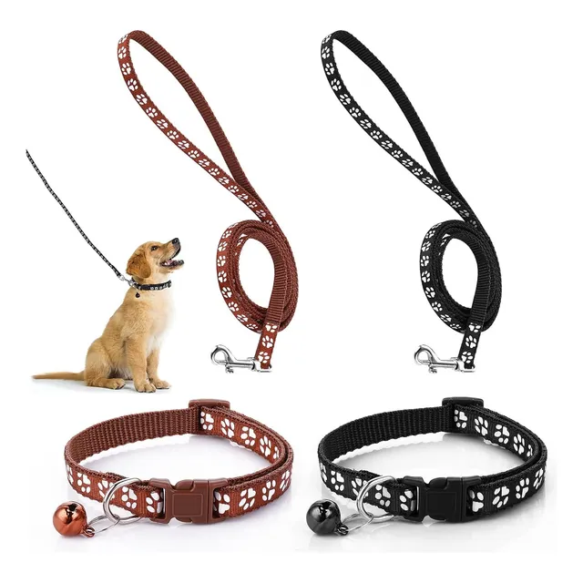 Collar Y Cuerda Para Mascota Ajustable Perro Gato