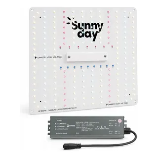 【P14561】sunny day Sunny Day | Loja Oficial