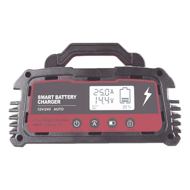 Cargador De Baterías  12 O 24 Vcc Hasta 250 Ah 25 A D