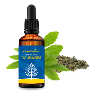 Tintura Madre Jiaogulan - Gynostemma Pentaphyllum 50ml Tintura Madre Jiaogulan - Gynostemma Pentaphyllum 50ml