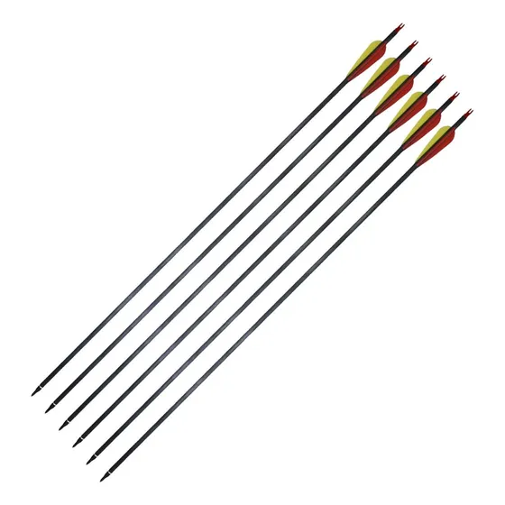 Pack 6 Flechas Carbono 30' Arco Compuesto Recurvo Punta Caza