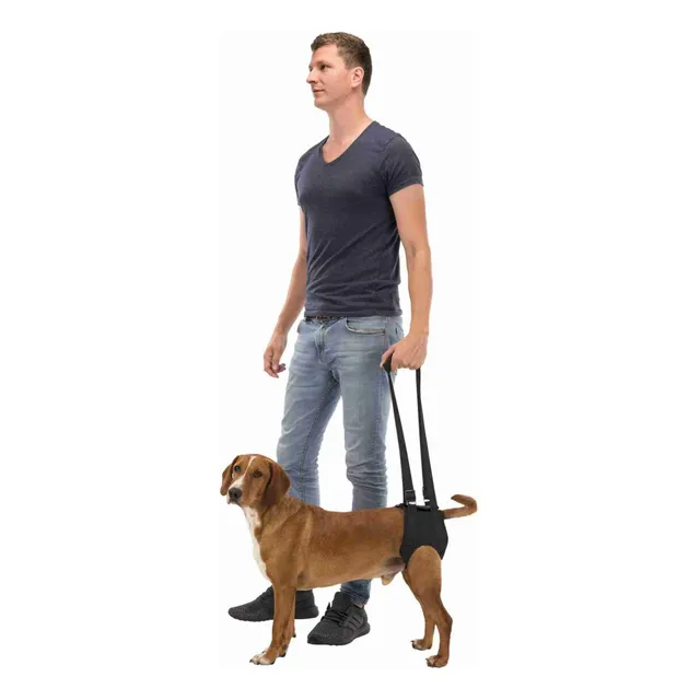 Soporte Auxiliar Andador Rehabiltacion Perros Displasia Cadera Trixie Talle L Hasta 35 Kg Color Negro