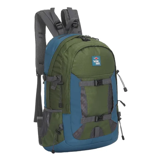 Mochila Urbana Alpine Skate Deportiva Acolchada División New