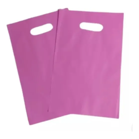Bolsa Tipo Boutique 8x12 Pulgadas - 20x30 Cm  X 100 Unidades