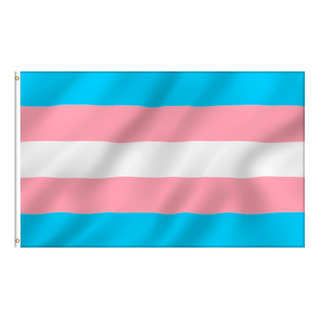 2 Pzs Bandera Trans Lgbt Pride 150x90cm Comunidad Orgullo 2 Pzs Bandera Trans Lgbt Pride 150x90cm Comunidad Orgullo