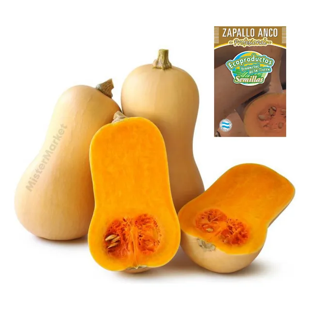 Semillas Zapallo Anco Calabaza Huerta Ecoproductos Kit X2