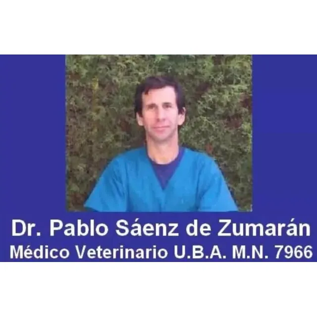 Veterinario Eutanasia Perros Y Gatos A Domicilio