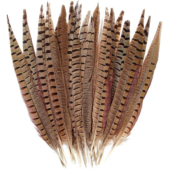 Plumas De Faisán Naturales Con 10 Plumas 20-25cm