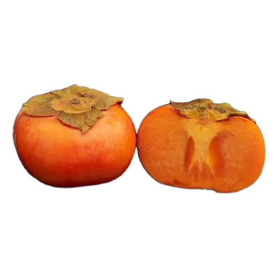 Plantas De Kaki Fuyu (diospyros Kaki) Organicas