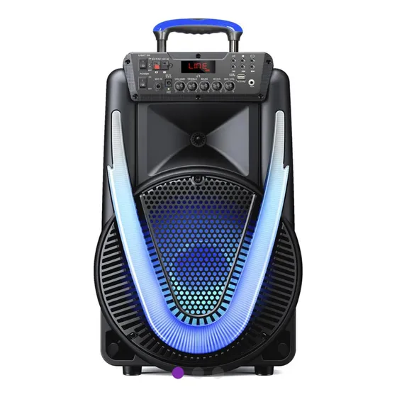 Caixa De Som Amplificada Sunny Ii 800w Sp396