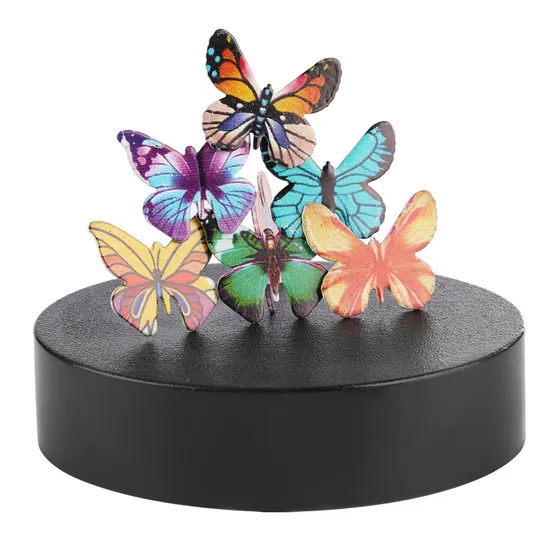 Personalidad Círculo Magnético Color Pez Delfín Mariposa