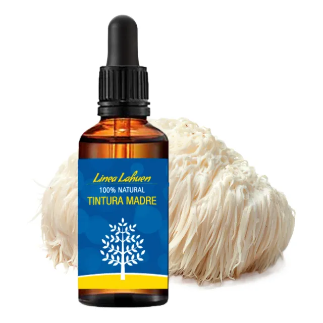 Melena Leon En Gotas X50ml - Lion Mane Extracto