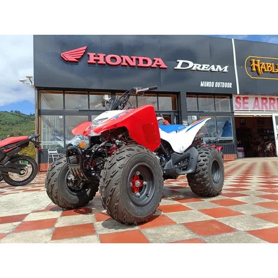 Cuatrimoto Trx 250 X