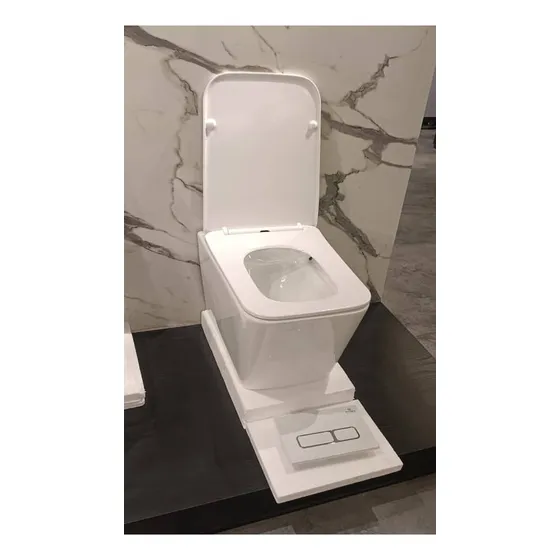 Sanitario Aereo Color Blanco Con Tanque Empotrable