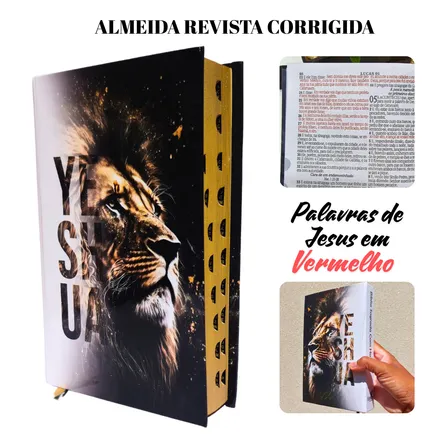 Bíblia Sagrada Masculina Evangélica Luxo Letra Média Harpa Cristã Capa Dura Leão Índice Palavras De Jesus Em Negrito João Ferreira Almeida Revista Corrigida Branca Folha Ecológica Jovem Promessas Fé