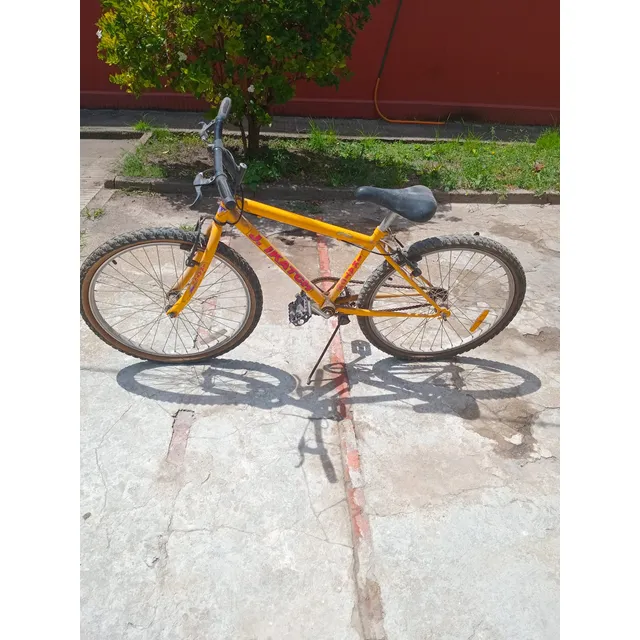 Bicicleta Juan Ikatch Usada