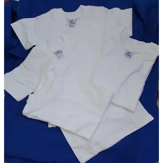 Franelas Y Chemis Escolares Tallas 2,4,6, 8, 10.