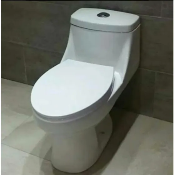 Sanitario De Lujo Promocion