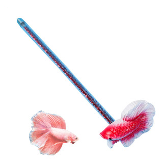 Juguetes Para Peceras De Entrenamiento Betta Juguete De De E Juguetes Para Peceras De Entrenamiento Betta Juguete De De E