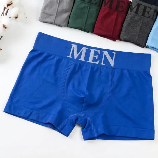 Kit 10 Cueca Boxer Masculina Microfibra Adulto