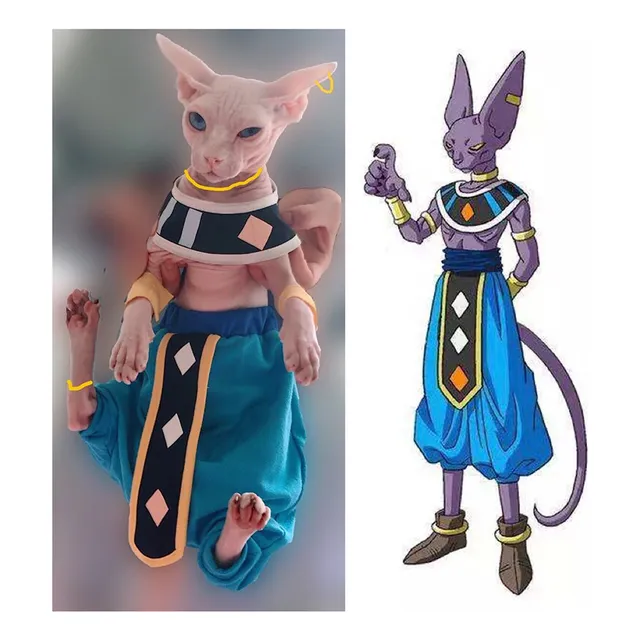.. Set Leon De Ropa For Gatos Con Forma De Esfinge Sin Pelo