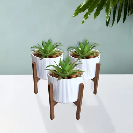 Kit Com 3 Vasos Decorativos Greenform Sustentável Elegante