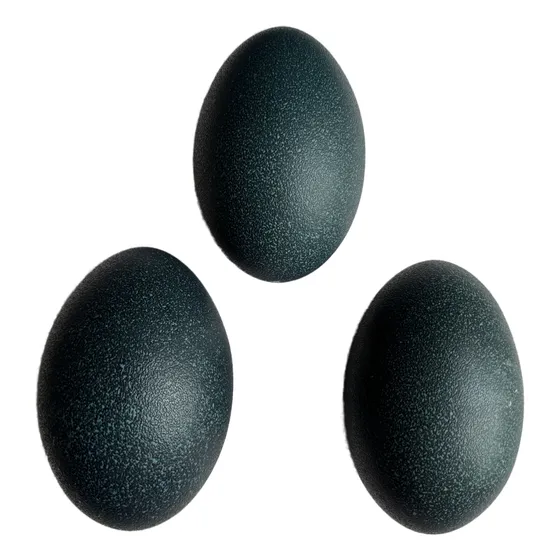 Ovos Para Chocar (marrecos,emu)