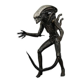 Alien 20 Cm Neca Alienigena Predador 1979 Clássico Xenomorfo Alien 20 Cm Neca Alienigena Predador 1979 Clássico Xenomorfo