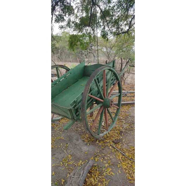 Carreta Época Colonial Sus Partes Están Totalmente Originles