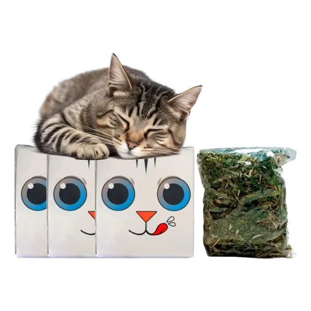 Hierba Gatera Juguetes Catnip Deshidratado Para Gatos X3