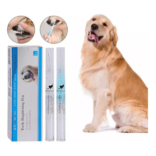 Elimine O Tártaro E A Placa Bacteriana Com A Caneta Dental P Elimine O Tártaro E A Placa Bacteriana Com A Caneta Dental P