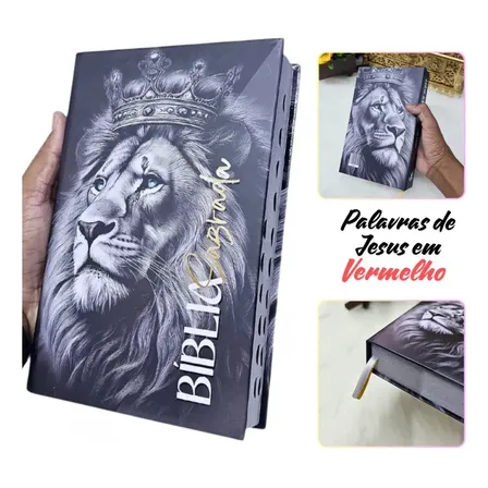 Biblia Letra Média Jovem Harpa João Ferreira Almeida Sagrada Capa Dura Leão De Judá Colorido Indice Lateral Masculina Jovem Palavras De Jesus Em Vermelho Evangelica Promessas Luxo Aba Letra Grande Fé