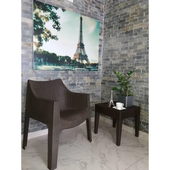 Sillas Poltrona Tipo Rattan