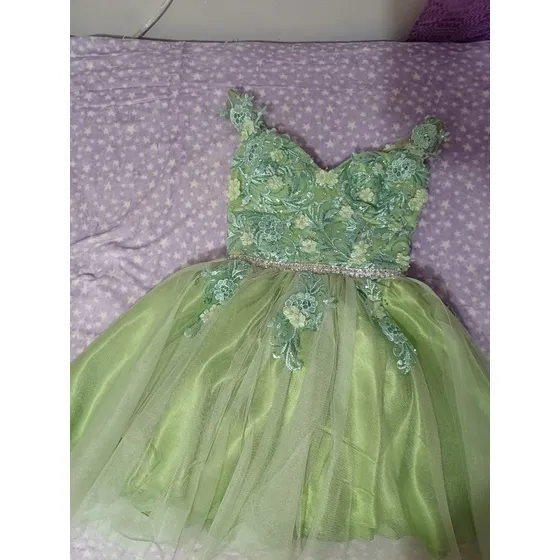 Vestido De 15 Años (combo) Zapatos, Armador,corona,vestido D